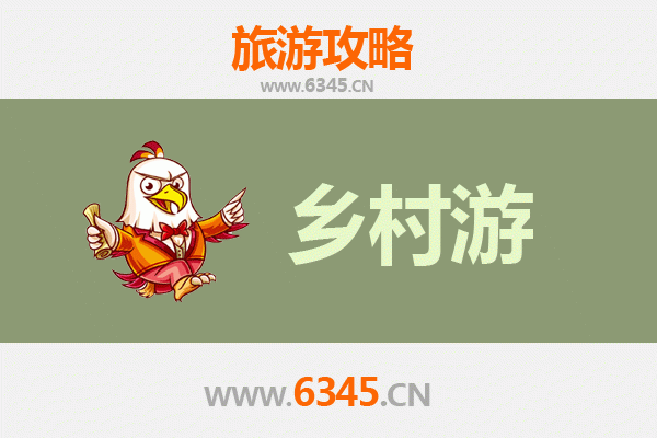 安吉乡村漫游：竹海茶香与生态秘境深度体验